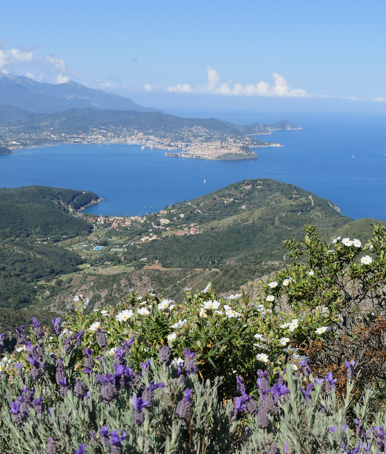 Isola d'Elba trail panorama dal percorso